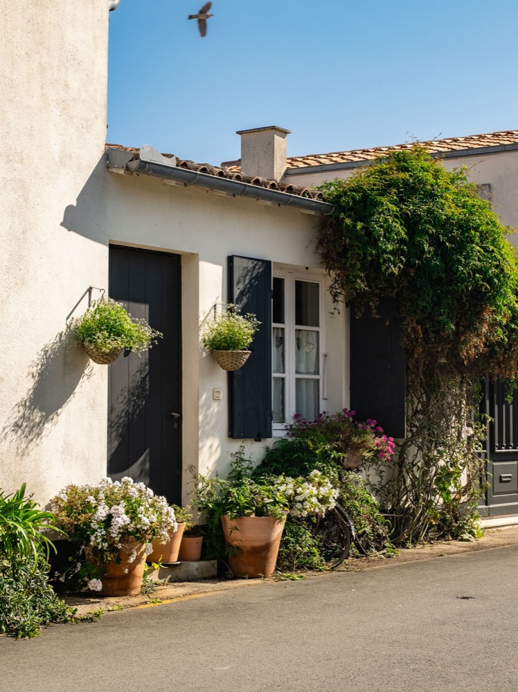Maison de village aux volets noirs, fleurie