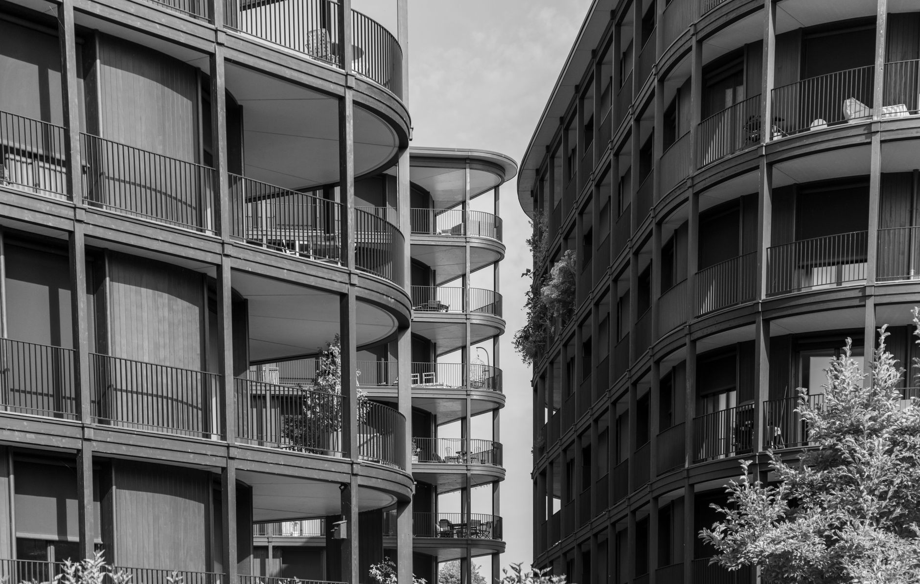 Lyon intègre la chaleur excessive dans les critères de salubrité : ce que cela change pour les vendeurs et acheteurs