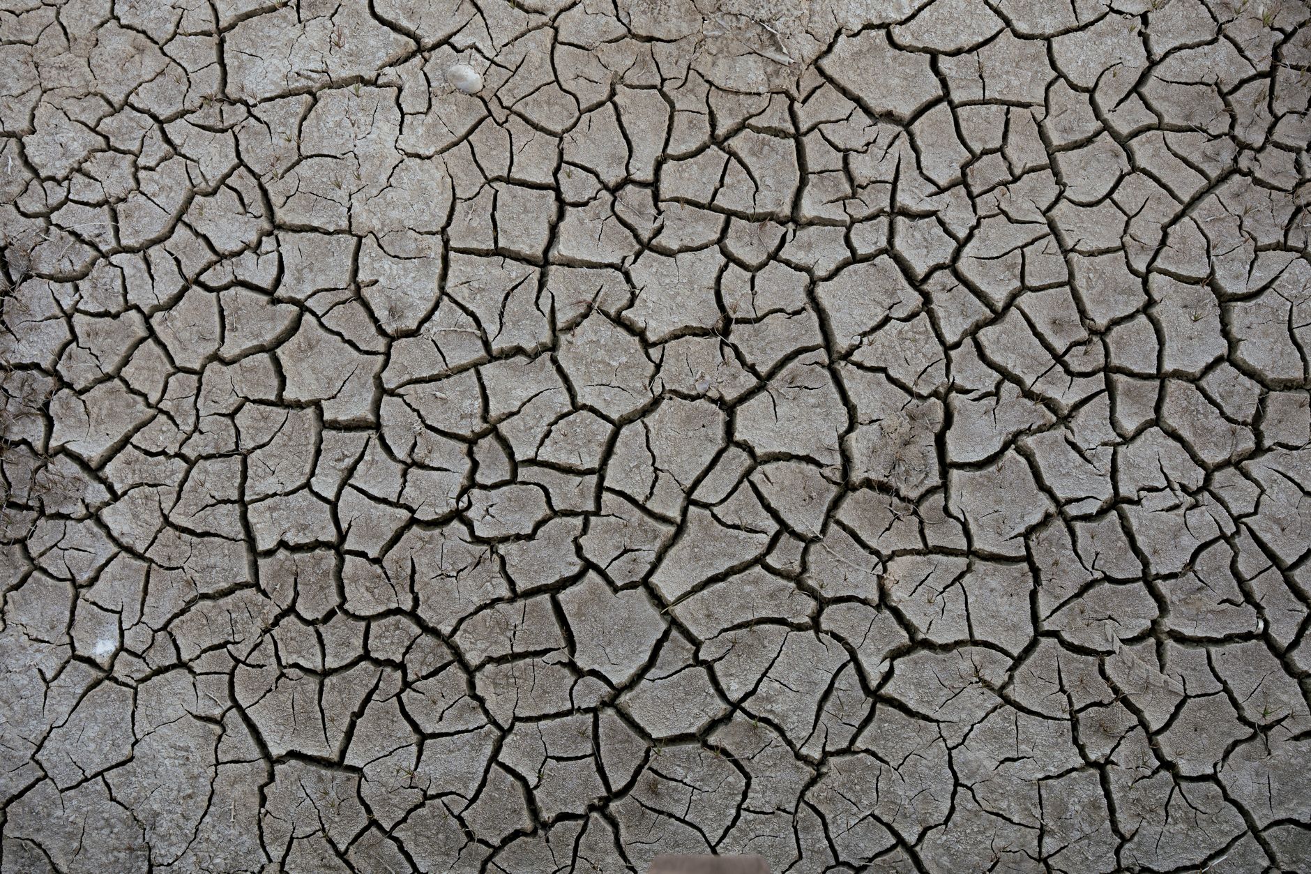 Dordogne : l’état de catastrophe naturelle pour les maisons fissurées, un enjeu majeur pour les propriétaires